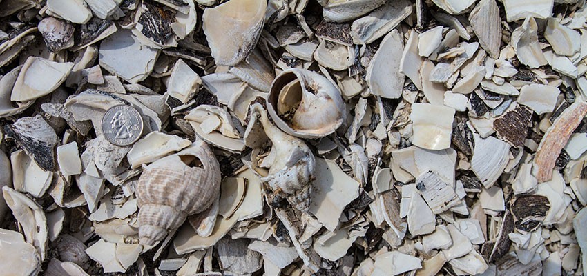 3/8 Inch Desert Round Stone